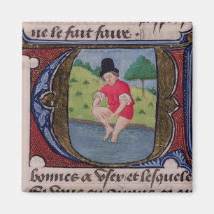 , Von 'Traite de Medecine' schmarotzen Magnet