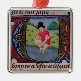 , Von 'Traite de Medecine' schmarotzen Silbernes Ornament