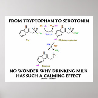Von Tryptophan zu Serotonin (Chemie-Spaß) Poster