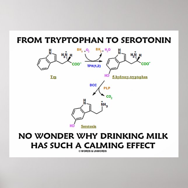 Von Tryptophan zu Serotonin (Chemie-Spaß) Poster (Vorne)