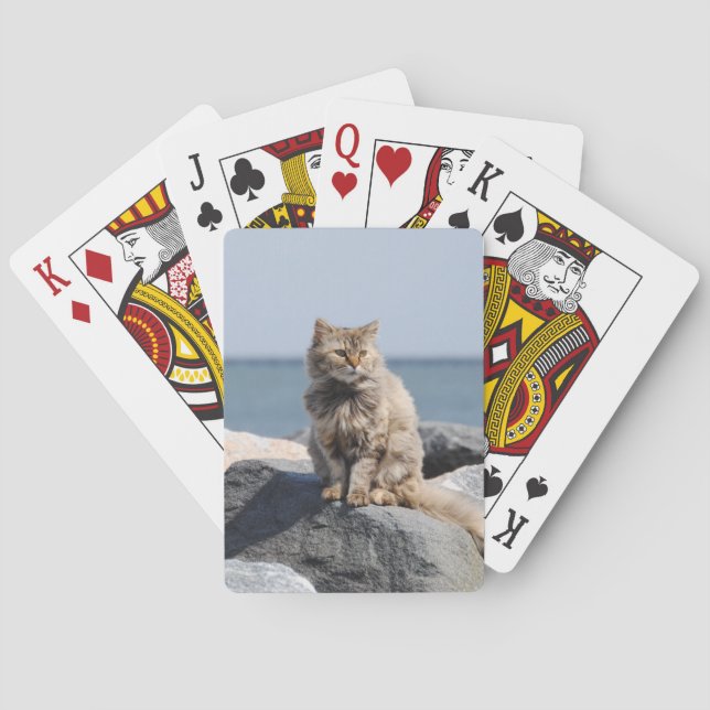 Von Wind zerzauste Katze am Meer Spielkarten (Rückseite)