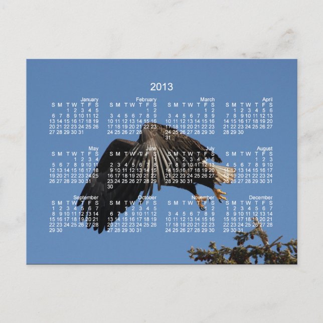 Von Wings umhüllt; Kalender 2013 Feiertagspostkarte (Vorderseite)