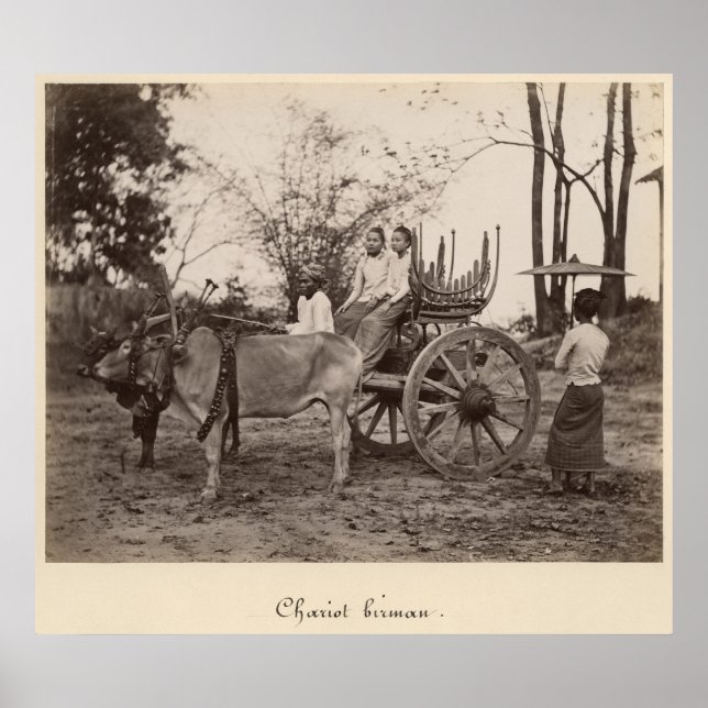 Von zwei Ochsen gezogener Karren in Mandalay, Burm Poster (Vorne)