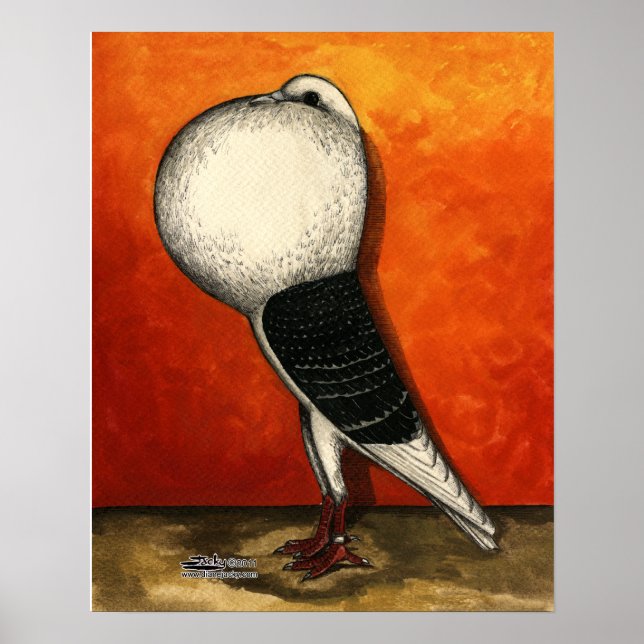 Voorburg Cropper Pigeon Blue Karo Poster (Vorne)