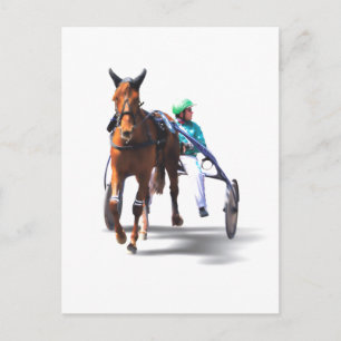Vor dem Rennen Postkarte