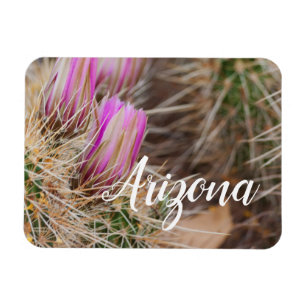 Vor den Blüten, Arizona Magnet