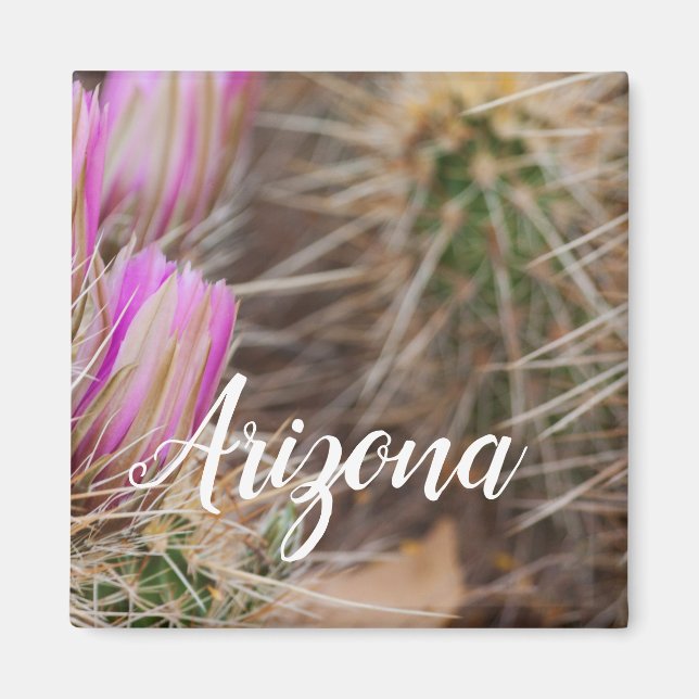 Vor der Blüte Arizona Magnet (Vorne)