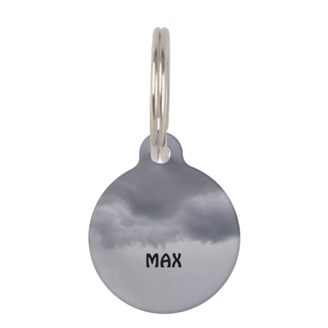 Vor Sturm Haustiermarke (Vorderseite)