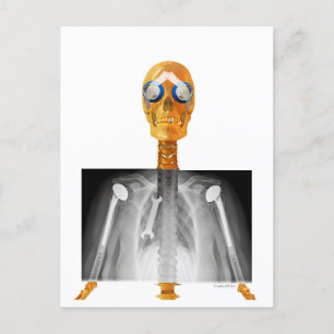 Vorab an Trump adressierte Postkarte als Trumpcare