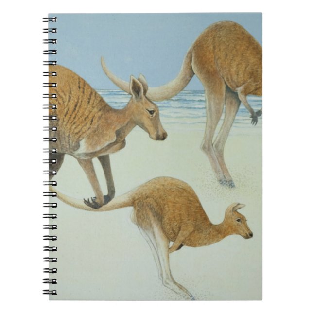 Voran springen notizblock (Vorderseite)