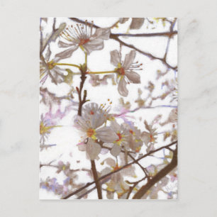 Vorbereitung 2014 postkarte