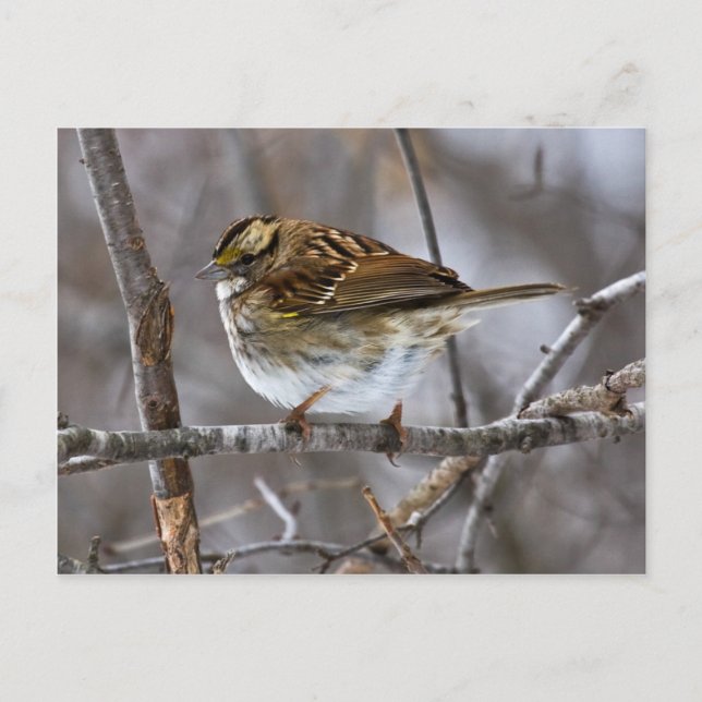 Vorbereitung für die Postkartonabnahme Postkarte (Vorderseite)