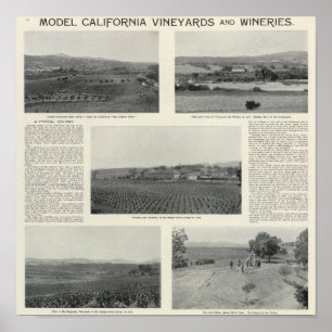 Vorbildliche Weinberge, Kalifornien Poster