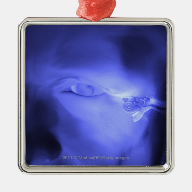 Vorderansicht des Innenohrs Ornament Aus Metall (Vorne)