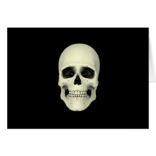 Vorderansicht des menschlichen Schädels