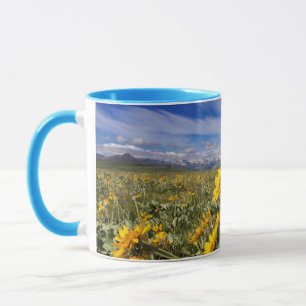 Vordere Bergkette der Rocky Mountains Tasse
