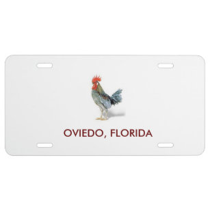 Vorderes Kfz-Kennzeichen Oviedo, Florida US Nummernschild