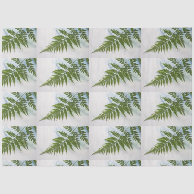 Vorderseite mit Textfläche Seidenpapier (Vorderseite)