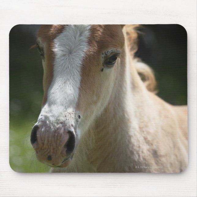Vorderseite Mousepad (Vorne)
