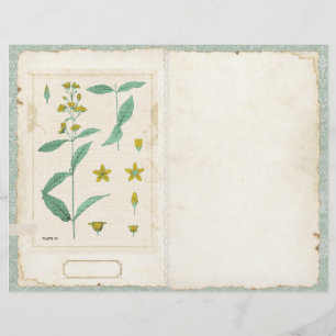 Vorderseite/Rückseite der Junk-Journalseite der bo