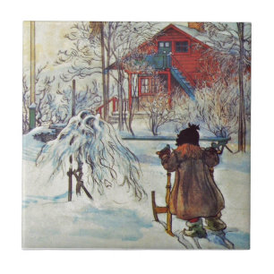 Vorgarten und Wäsche-Haus Fliese