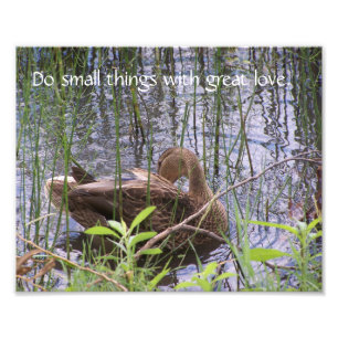 Vorgeburt unter den Rushes. Fotodruck