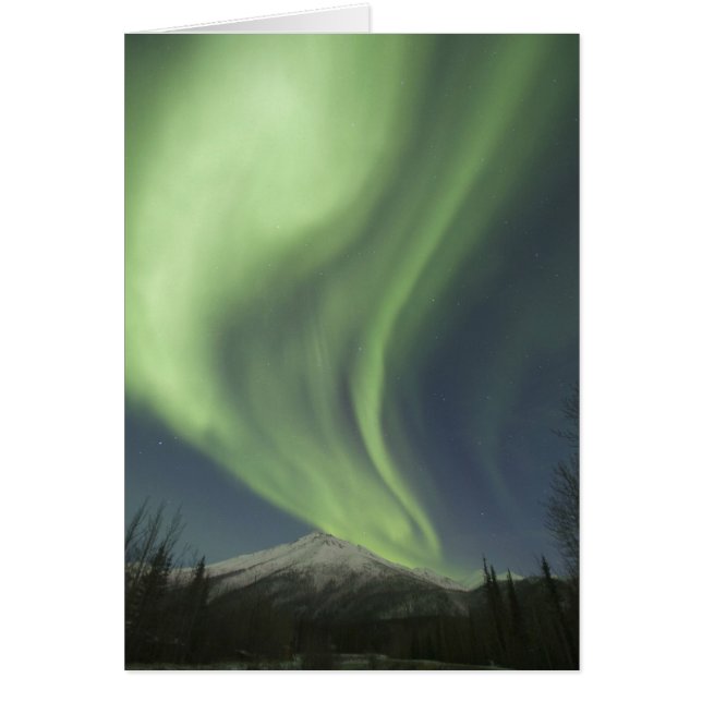 Vorhänge des grünen Polarlichts am Himmel (Vorne)