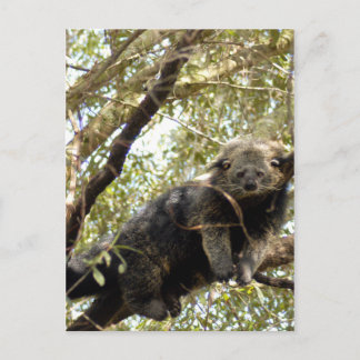 Vorlage für 12x18 postkarte