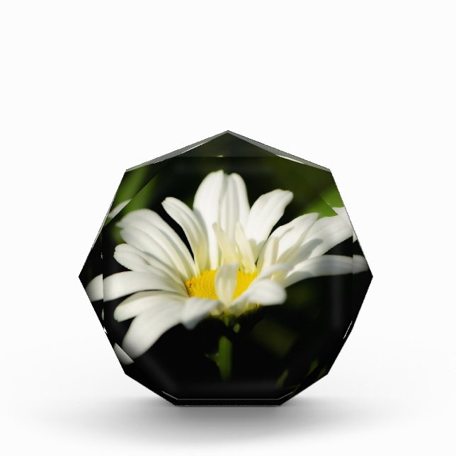 Vorlage für achteckige Fotos (Vorderseite)