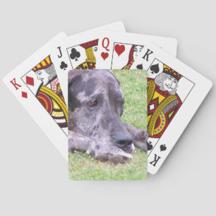 Vorlage für die Fahrradkarte - Maßgeschneiderte Spielkarten