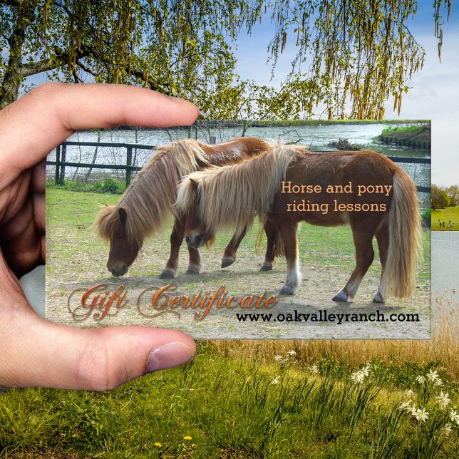 Vorlage für Geschenkgutachten für Reitstunden Rabattkarte (Gift certificate template for horse or pony riding lessons - equestrian - equine)
