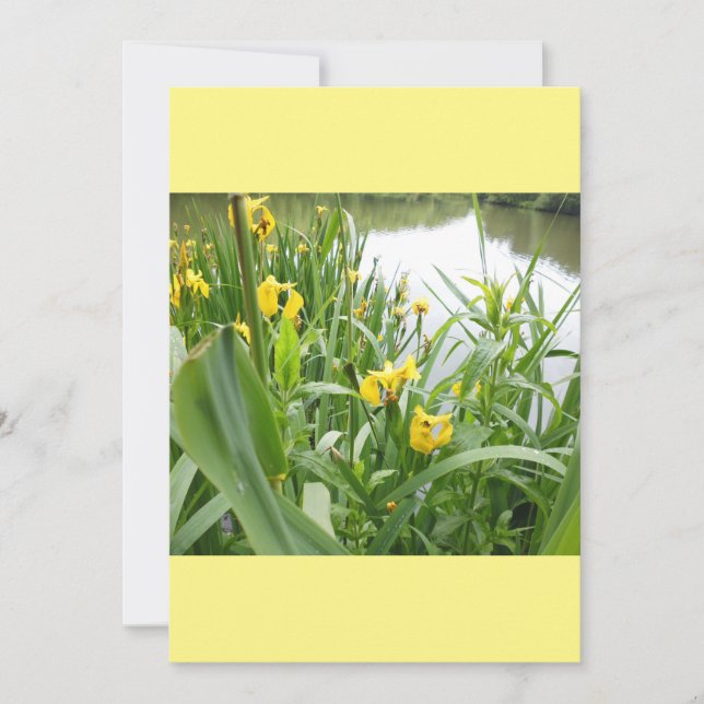 Vorlage für individuell anpassbare Einladungen (Vorderseite)