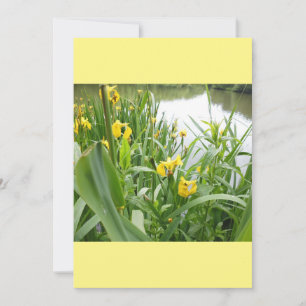 Vorlage für individuell anpassbare Einladungen