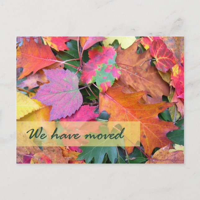 Vorlage für neue Adresse im Forest Floor (Vorderseite)