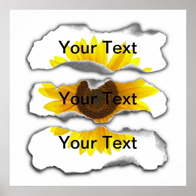 Vorlage für Papierlaufwerk - Anpassbar Poster (Vorne)