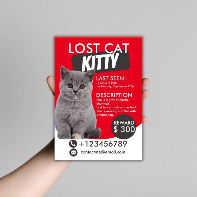 Vorlage für verlorenen Cat-Flyer - Anpassbare Verm Flyer (Von Creator hochgeladen)