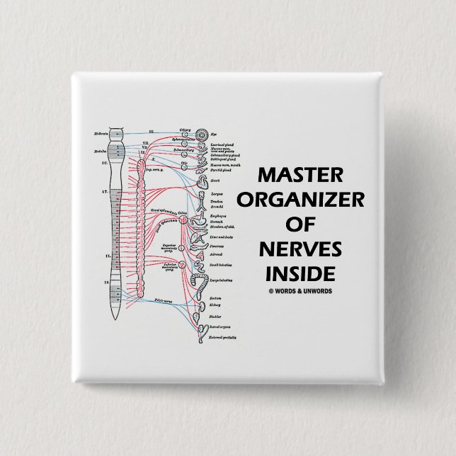 Vorlagenorganisator des Nerven-Inneres (autonom) Button (Vorderseite)