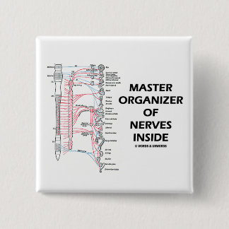 Vorlagenorganisator des Nerven-Inneres (autonom) Button