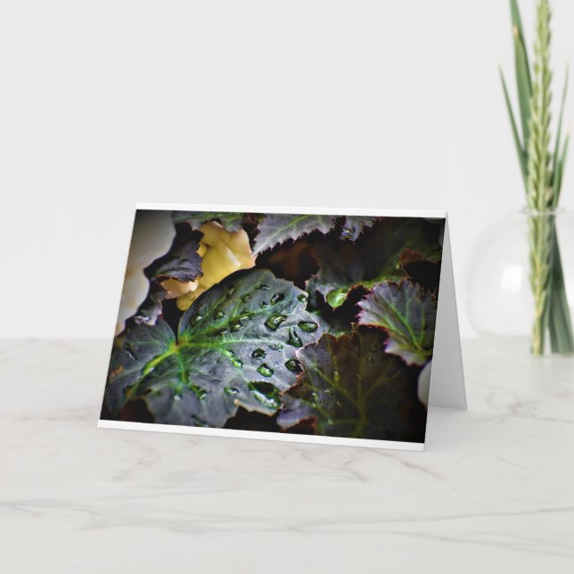 Vormittagskuppe, Karte (Vorderseite)