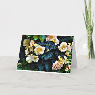 Vormittagskuppe, Karte