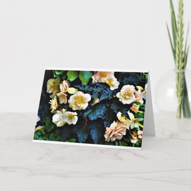 Vormittagskuppe, Karte (Vorderseite)