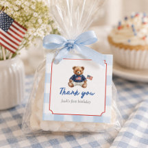 Vornehmer amerikanischer Teddybär Blau Gingham Jun