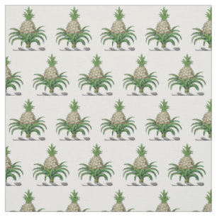 Vornehmes Heraldisch Pineapple Wappen Wappenschild Stoff