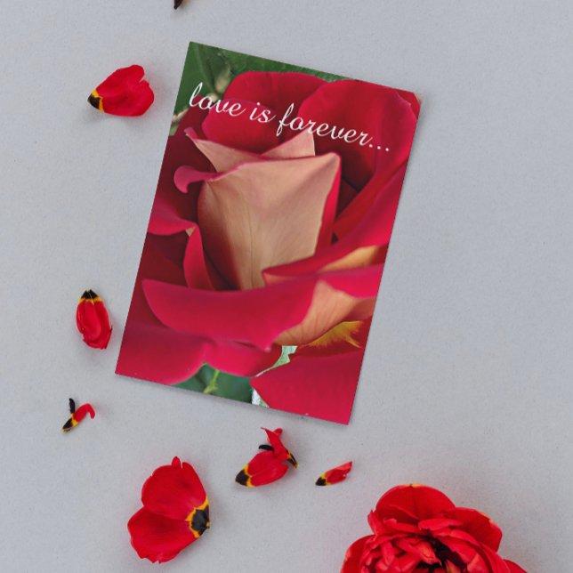 Vorschlag zur Personalisierten Eheschließung in Ro Karte (In Situ)