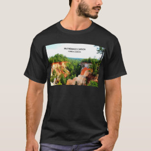 VORSEHUNGS-SCHLUCHT - Lumpkin, Georgia T-Shirt