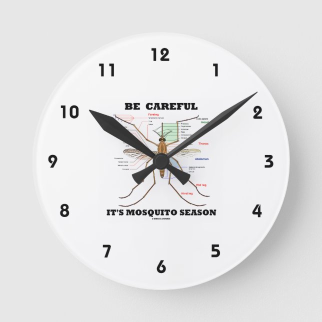 Vorsicht, es ist Moskitosaison (Moskito-Anatomie) Runde Wanduhr (Vorderseite)