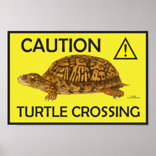 Vorsicht Schildkröten-Crossing-Poster Poster