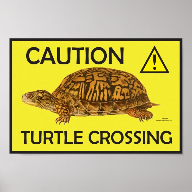 Vorsicht Schildkröten-Crossing-Poster Poster (Vorne)
