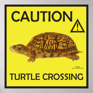 Vorsicht Schildkröten-Crossing-Poster Poster