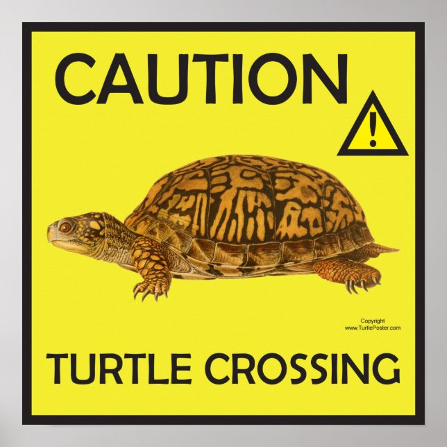 Vorsicht Schildkröten-Crossing-Poster Poster (Vorne)